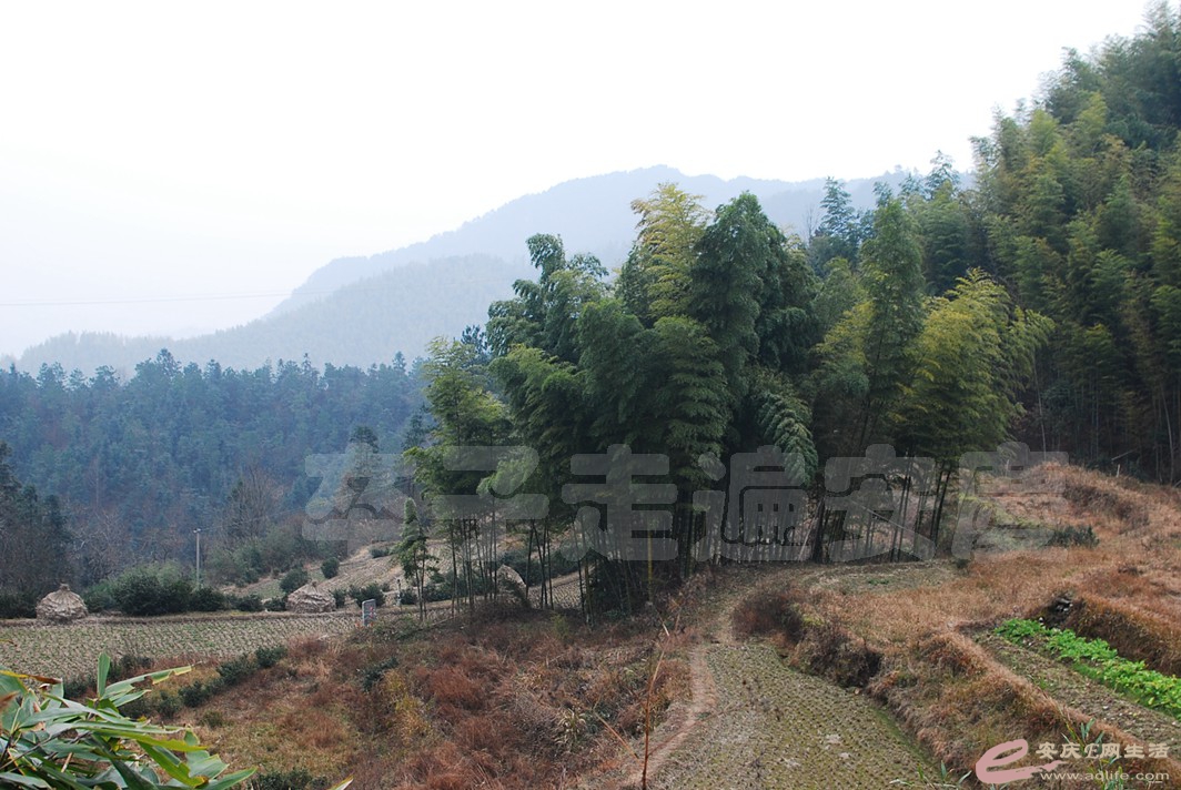 DSC_1627.jpg