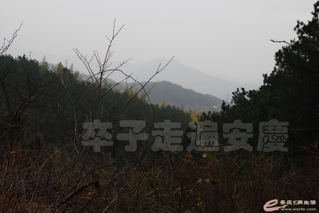 DSC_1637.jpg