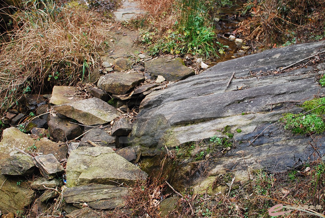 DSC_1642.jpg