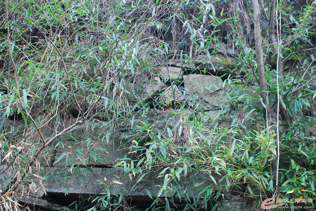 DSC_1652.jpg