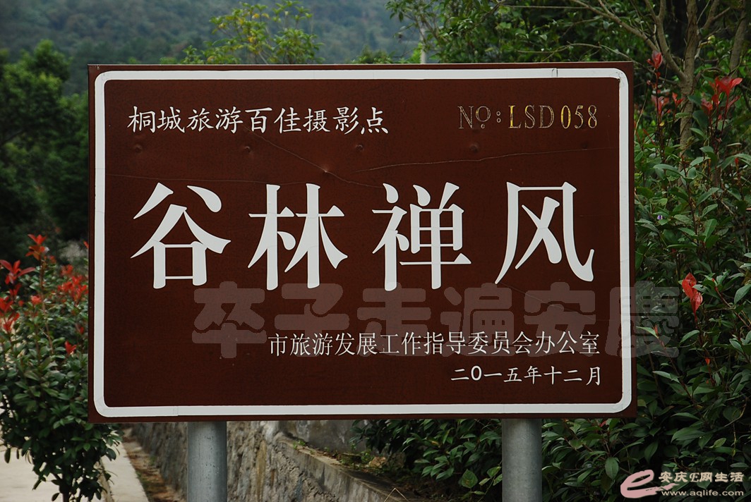 DSC_5347.jpg