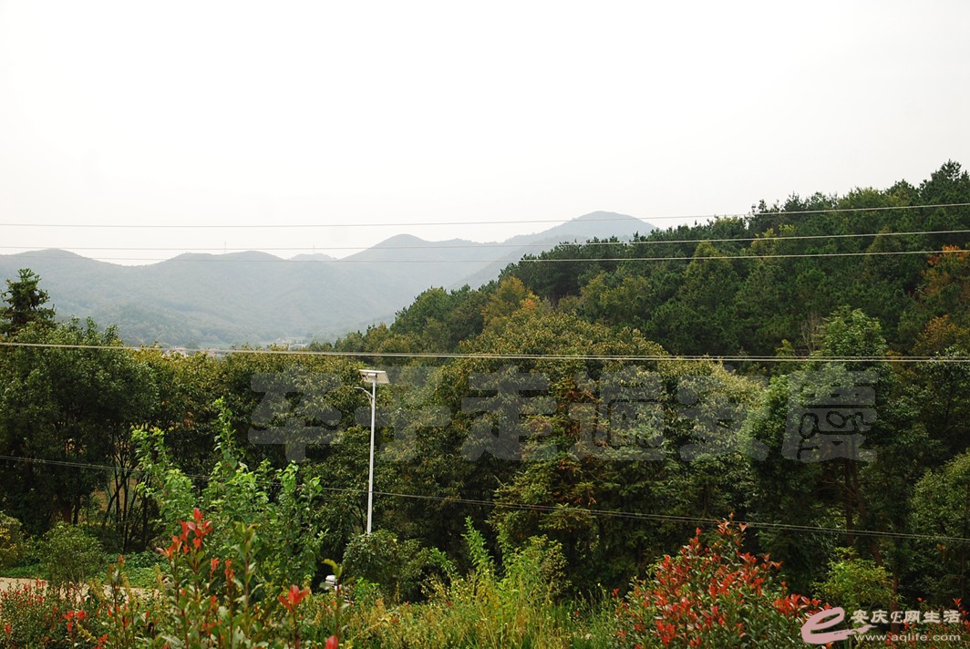 DSC_5362.jpg