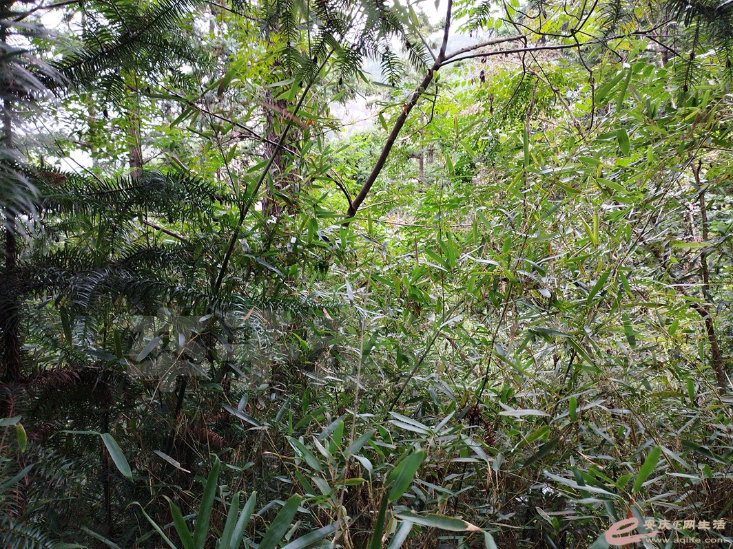 IMG_20230827_105623.jpg