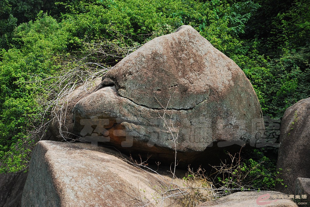 DSC_3370.jpg