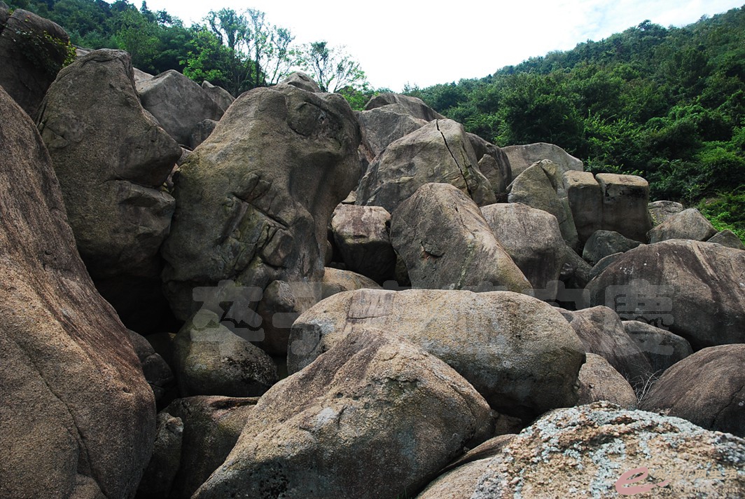 DSC_3425.jpg