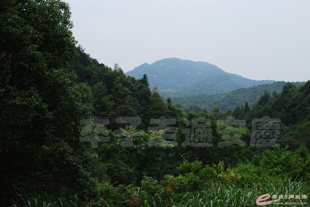 20160610 420.jpg