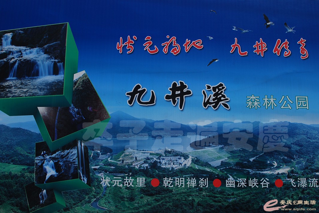 20160610 421.jpg