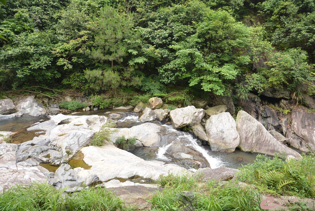 20160610 440.jpg