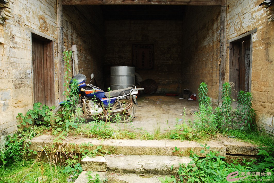 DSC_6929.jpg
