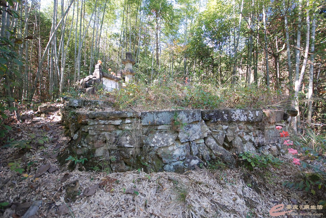 DSC_1395.jpg