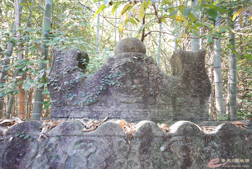 DSC_1399.jpg