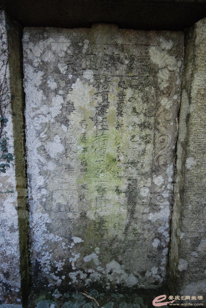 DSC_1400.jpg