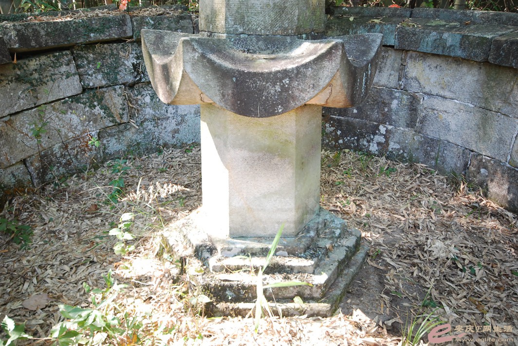 DSC_1408.jpg