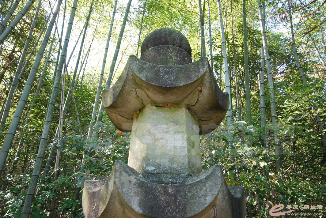 DSC_1407.jpg