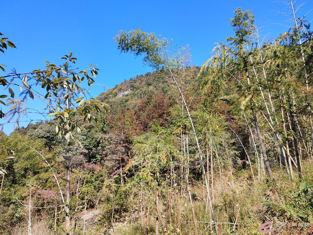 IMG_20231023_112109.jpg