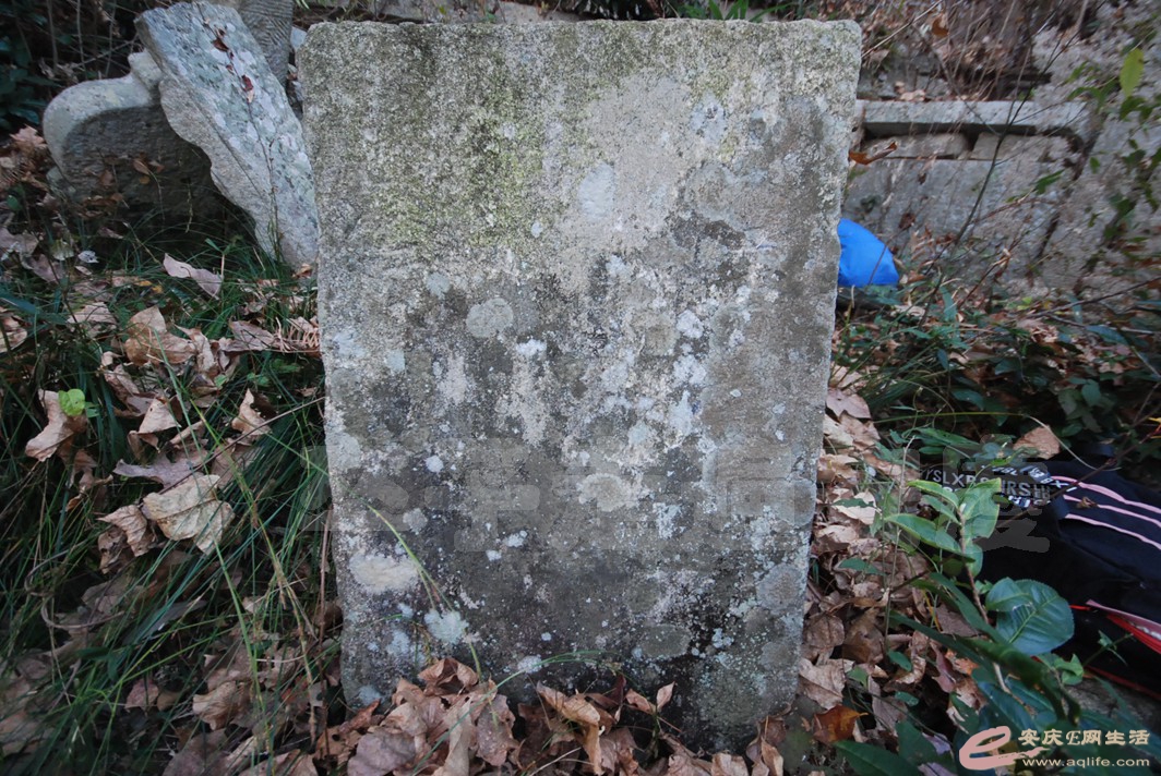 DSC_1648.jpg
