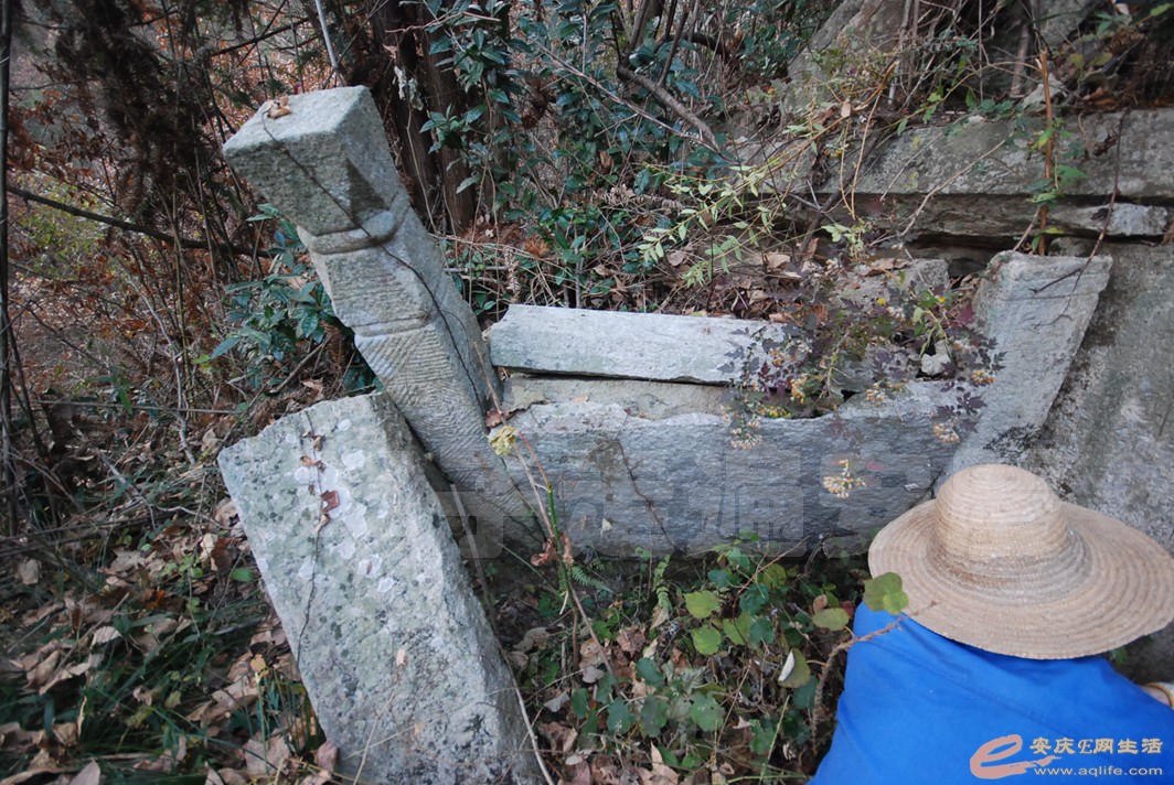 DSC_1653.jpg