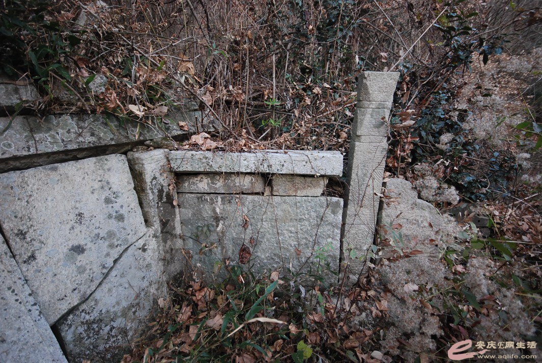 DSC_1654.jpg