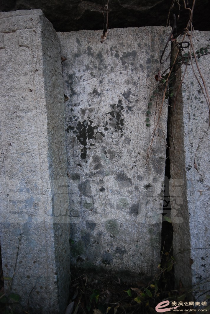 DSC_1663.jpg