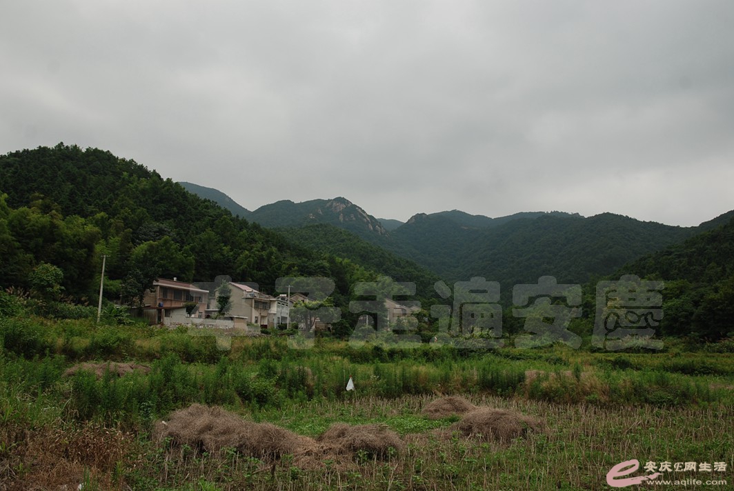 DSC_4690.jpg