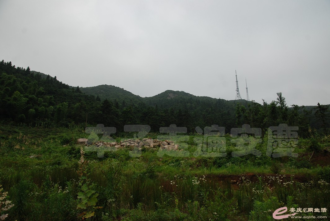 DSC_4722.jpg