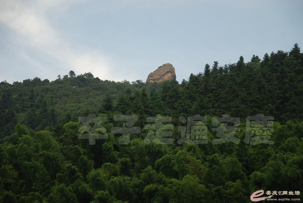 DSC_4730.jpg