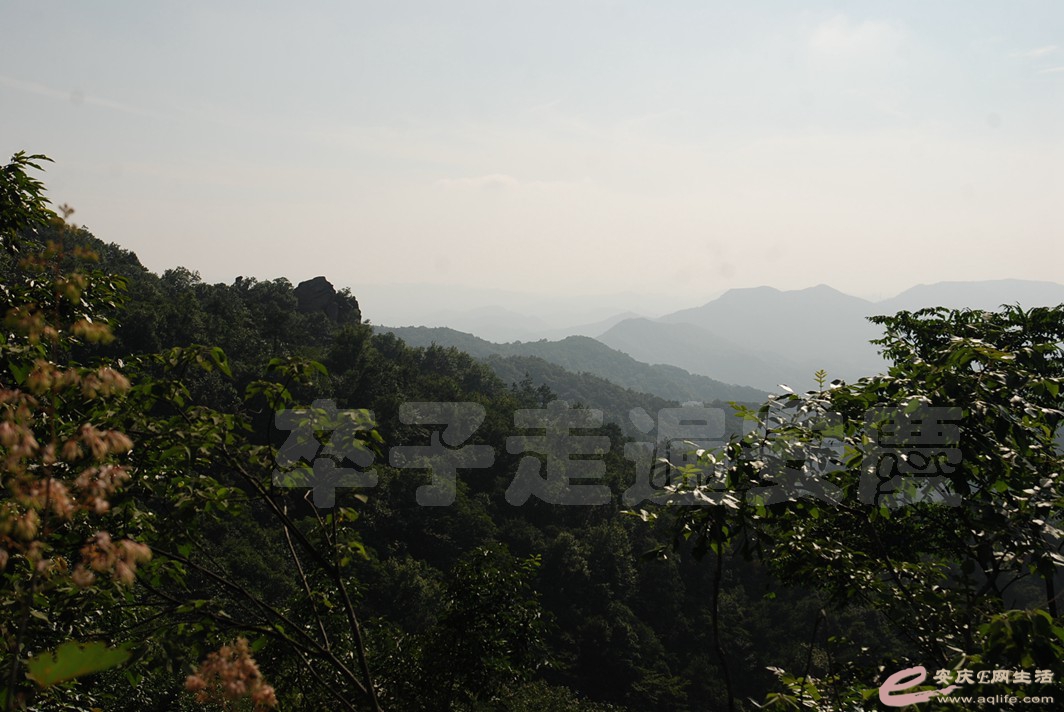 DSC_4853.jpg