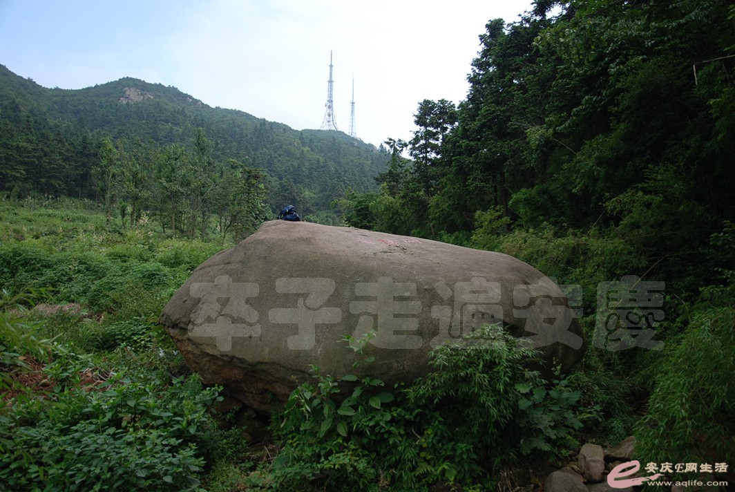 DSC_4736.jpg