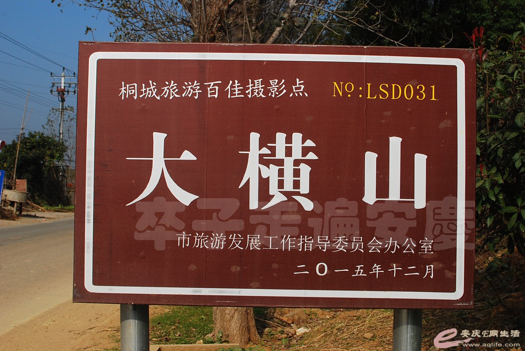 DSC_1030.jpg
