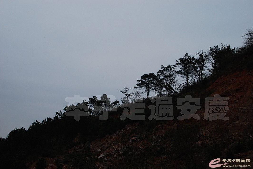DSC_1064.jpg