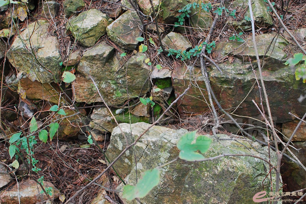 DSC_1112.jpg