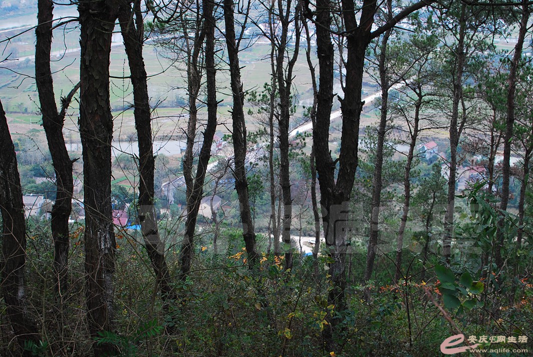 DSC_1119.jpg