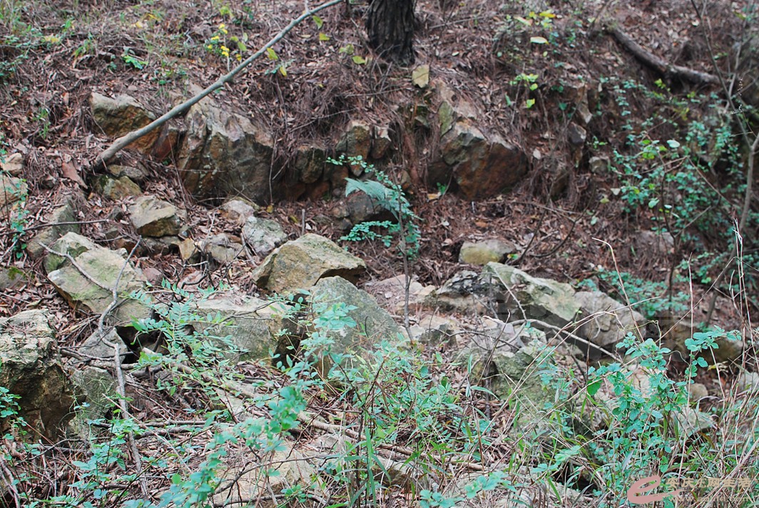 DSC_1120.jpg