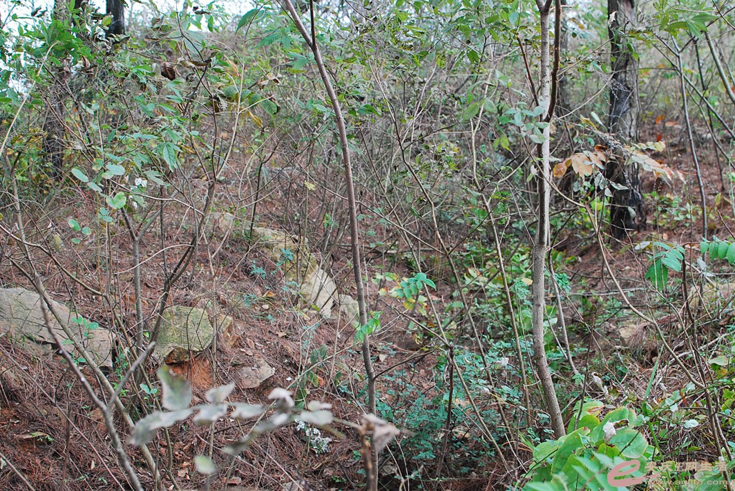 DSC_1126.jpg