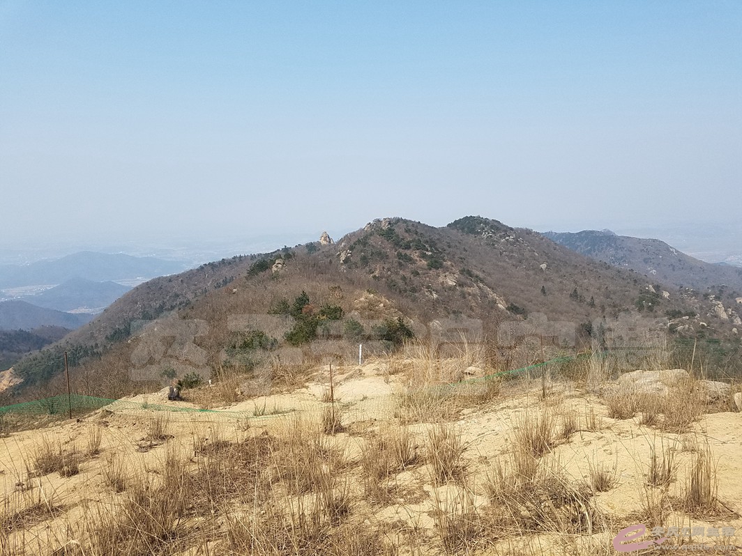 20170311 002.jpg