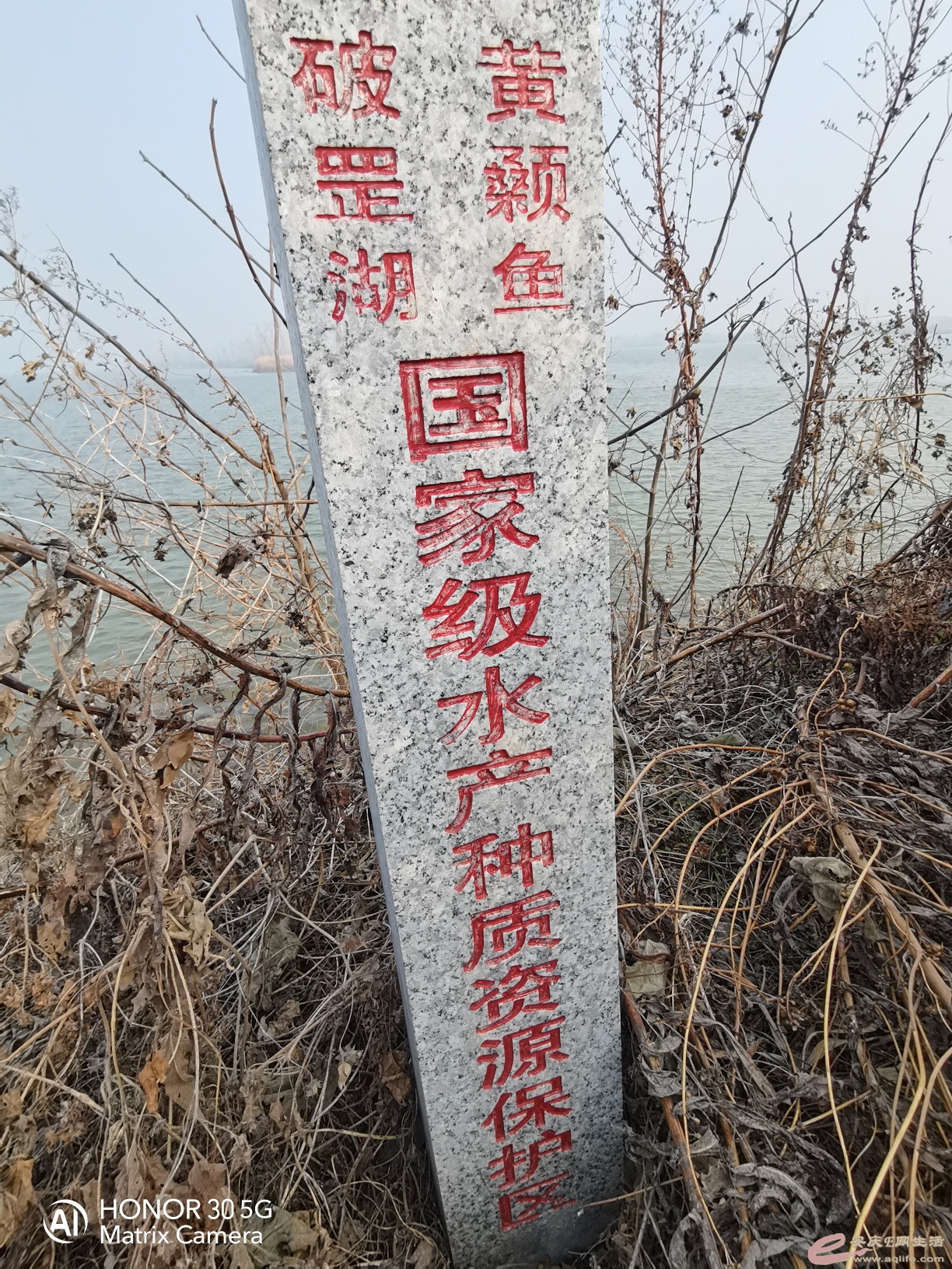 1703737103182669.jpeg