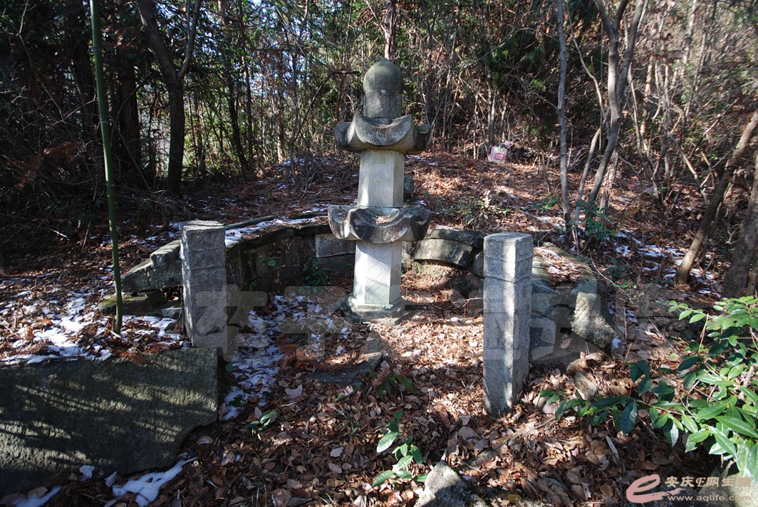 DSC_1674.jpg