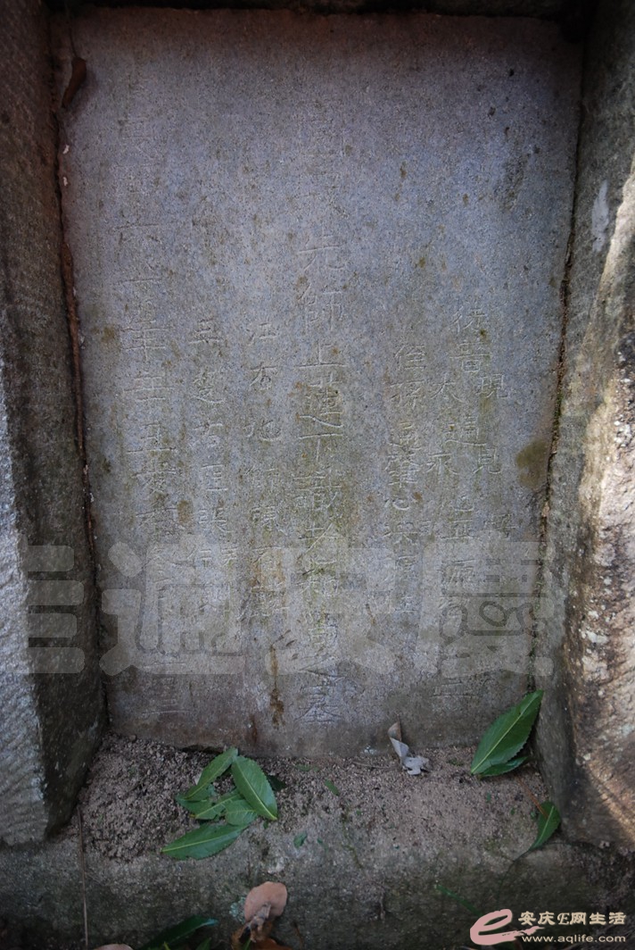 DSC_1679.jpg
