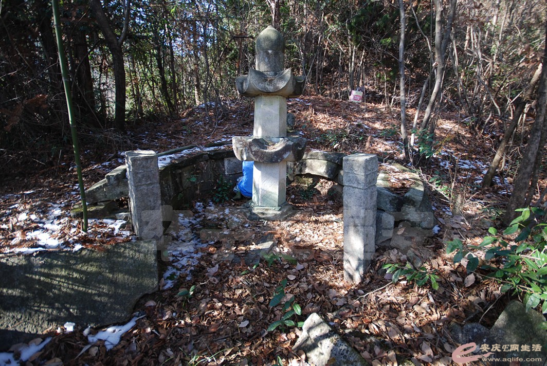 DSC_1680.jpg