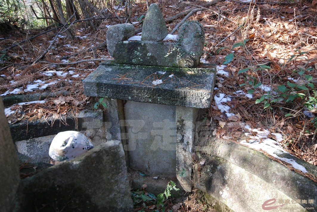 DSC_1681.jpg