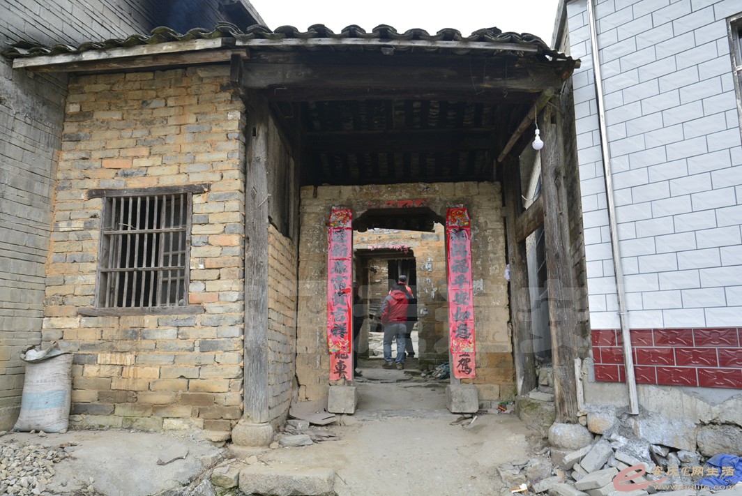 20170131 459.jpg