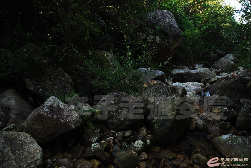 DSC_0139.jpg