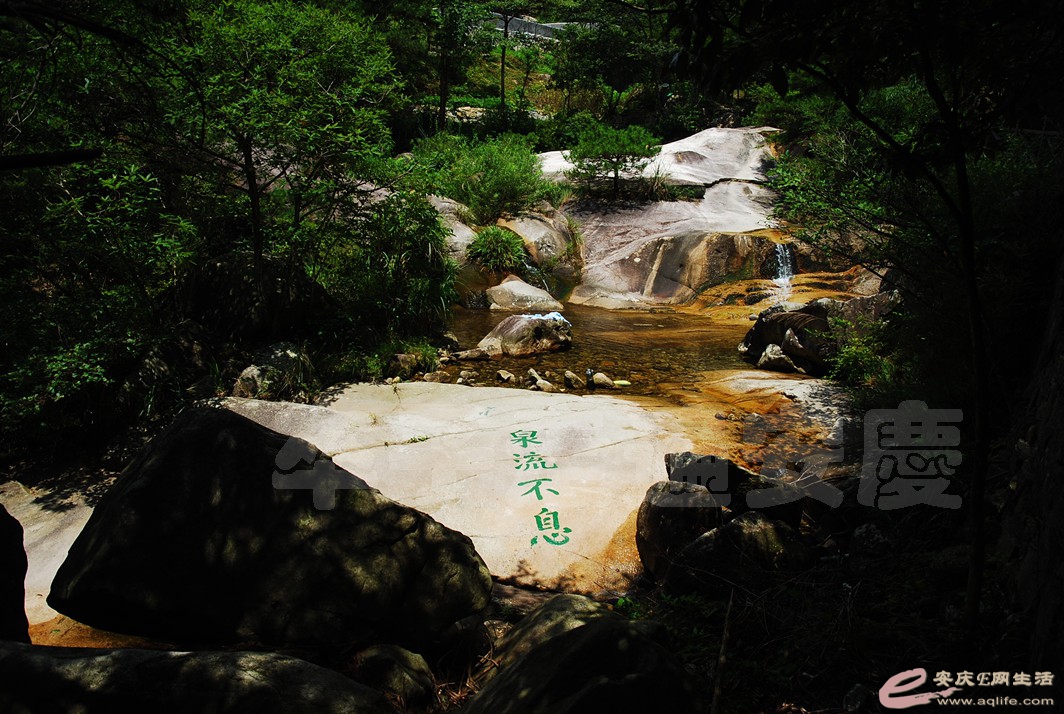 DSC_0169.jpg