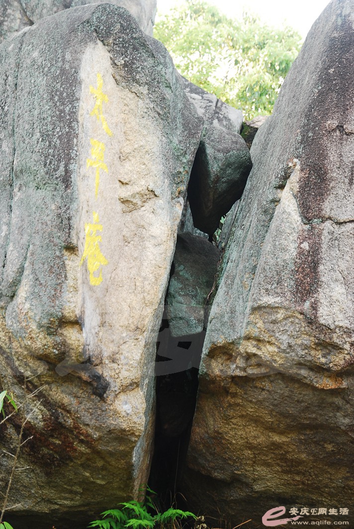 DSC_3751.jpg