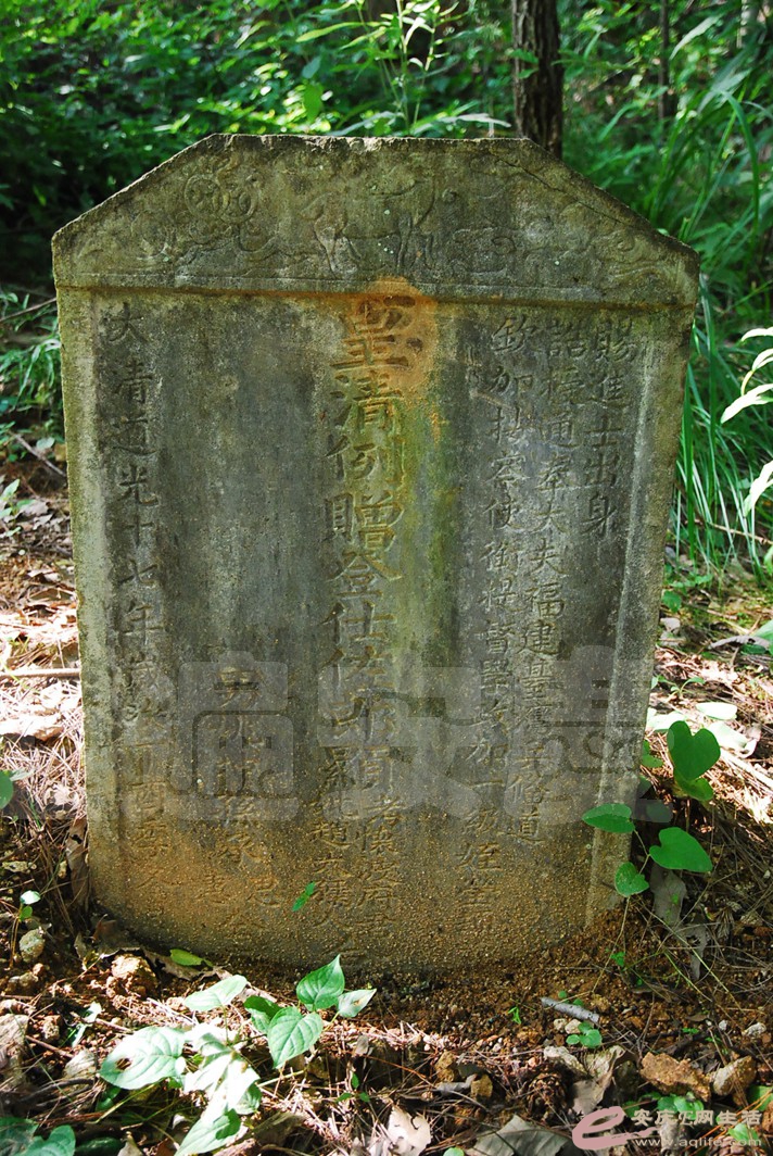 DSC_0581.jpg