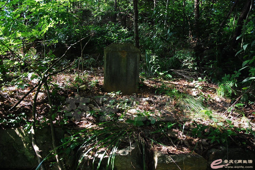 DSC_0586.jpg