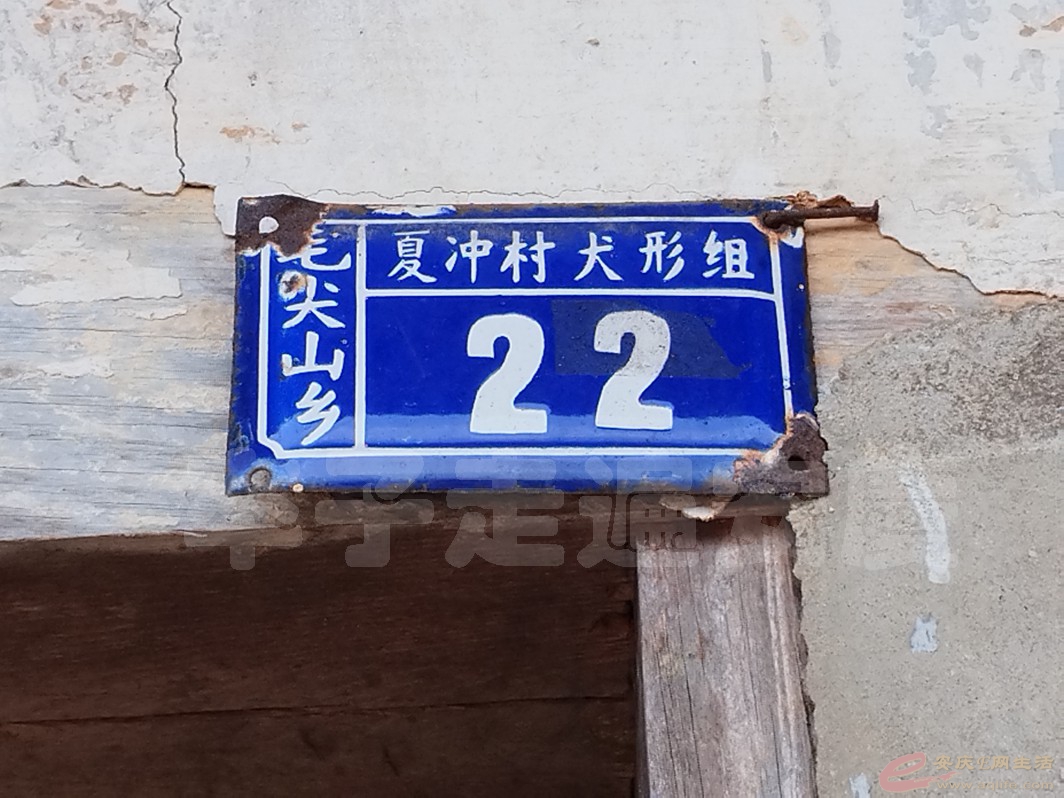DSC_1769.jpg
