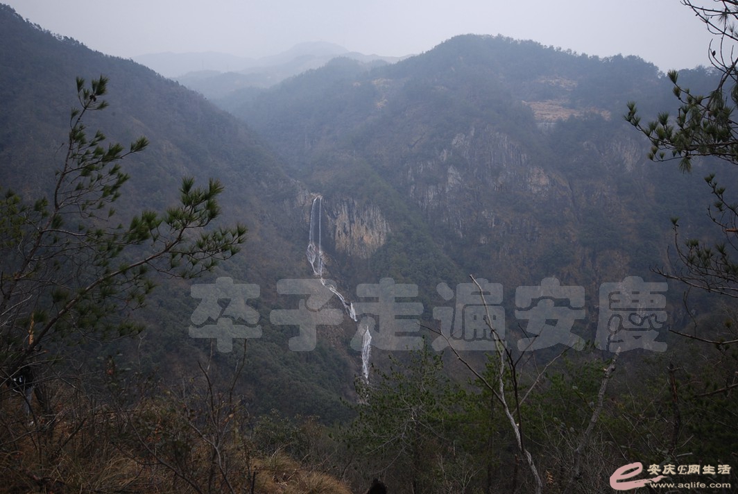 DSC_1794.jpg