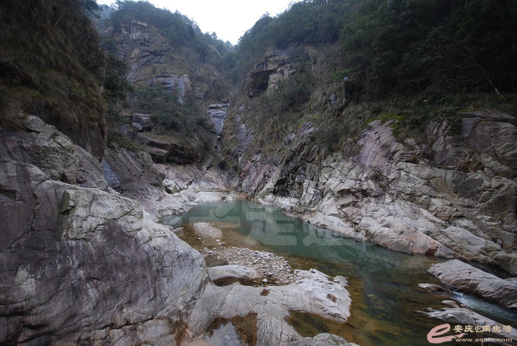 DSC_1878.jpg