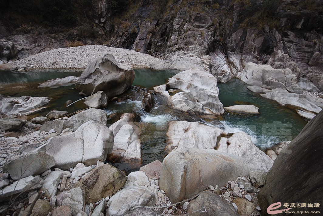 DSC_1928.jpg
